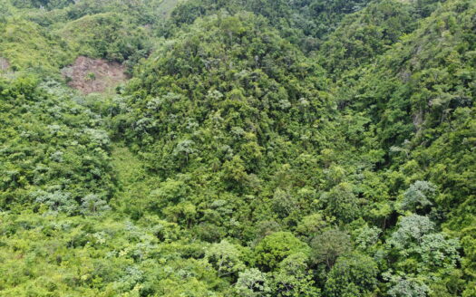 Terreno di sviluppo con vista mare a Coson