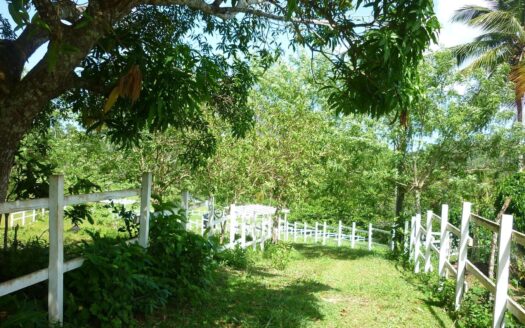 Ranch ideale per progetto ecologico