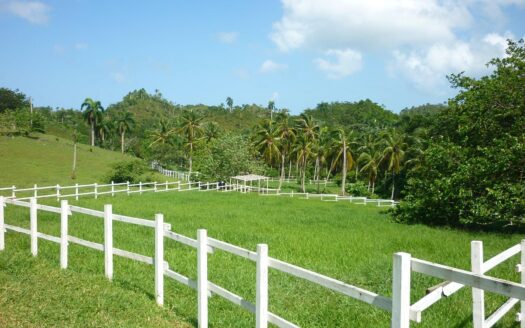 Ranch ideale per progetto ecologico