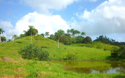 Ranch ideale per progetto ecologico