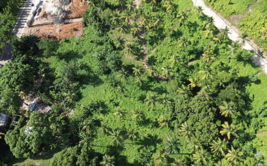 Terreno a Coson ideale per piccolo progetto e investimento