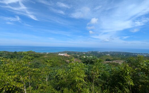 Straordinaria Villa PreSale 2BR Vista Oceano Esente da Tasse
